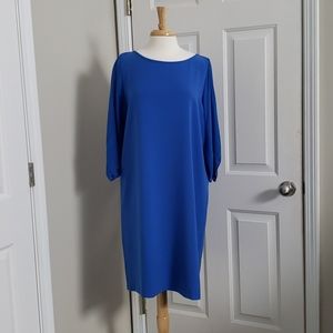 New D. Exterior Pull Over Blue Sheath Dress